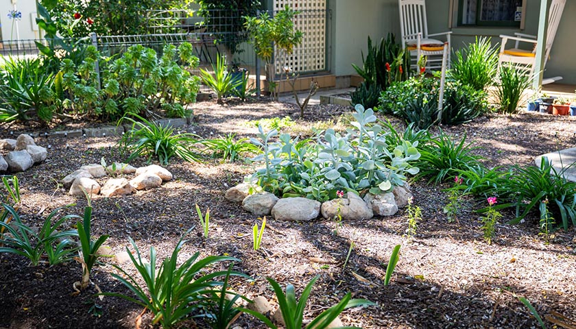 Janice's Garden front yard Janice's Garden front yard