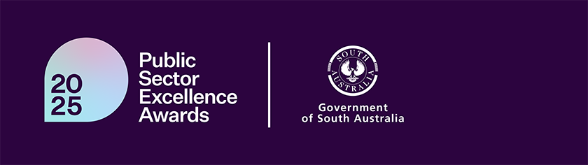 Public Sector Excellence Awards logo