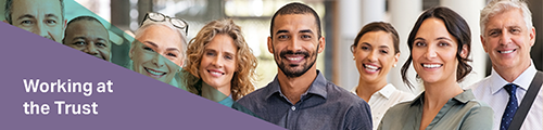 Working at the Authority, image of several staff - male and female Working at the Authority, image of several staff - male and female