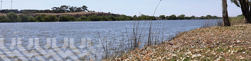 River Murray River Murray